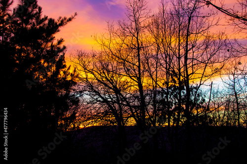 Sunset in stripes in the woods behind sihlouttes of trees on hill.