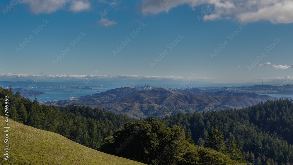Fototapeta premium View from Mt.Tamalpais of the Bay Area