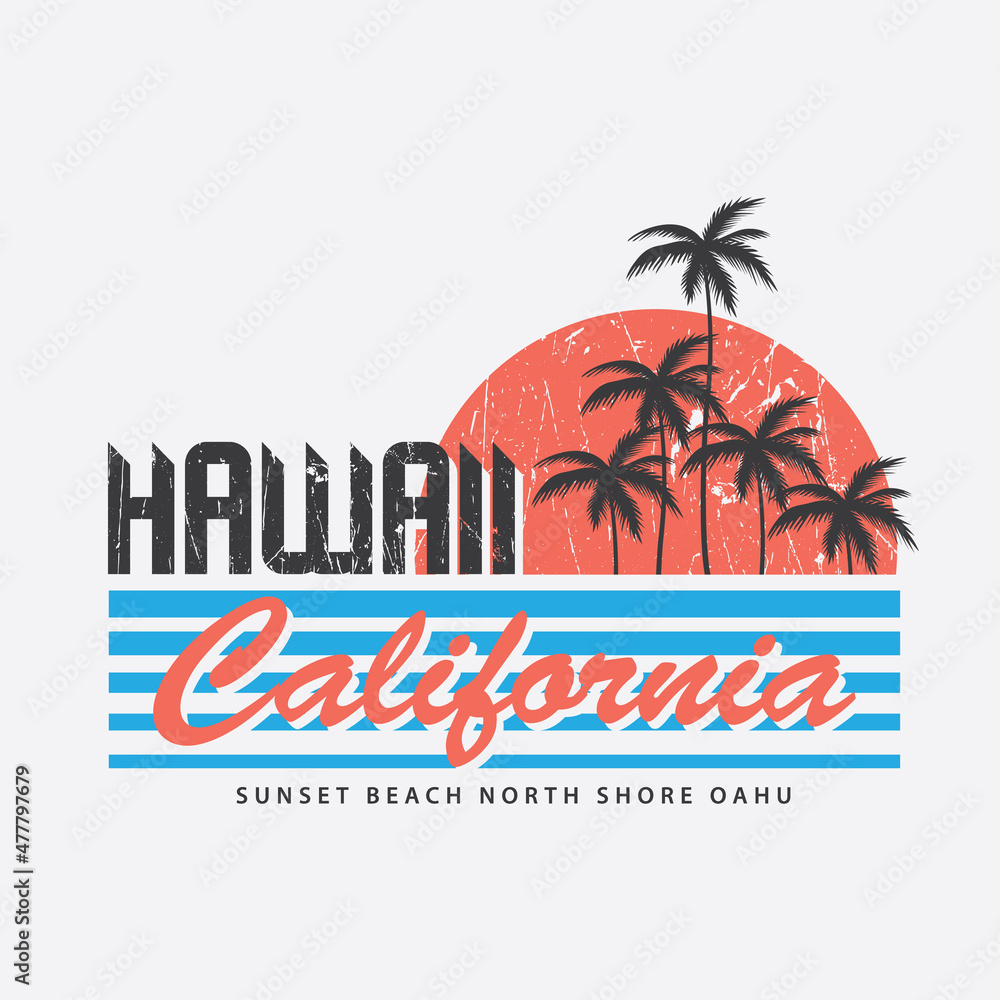 Fototapeta premium HAWAII illustration typography. perfect for t shirt design