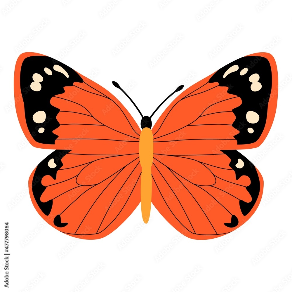 Butterfly vector illustration clipart. Cute Butterfly isolated. Butterfly vector illustration clipart. Cute Butterfly isolated.