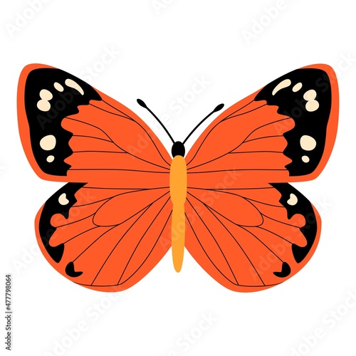 Butterfly vector illustration clipart. Cute Butterfly isolated.