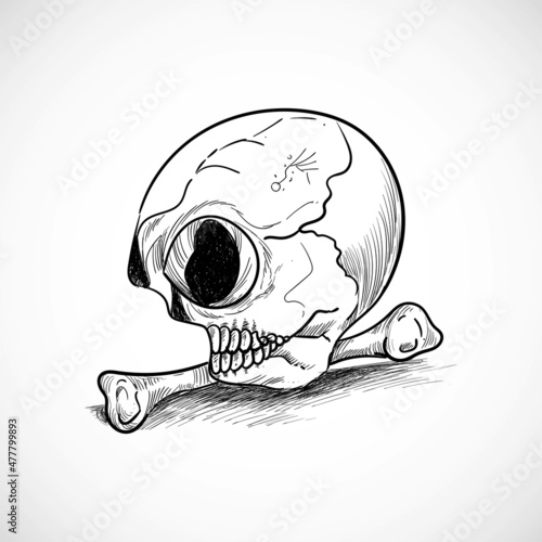 Hand drawn human skull sketch design