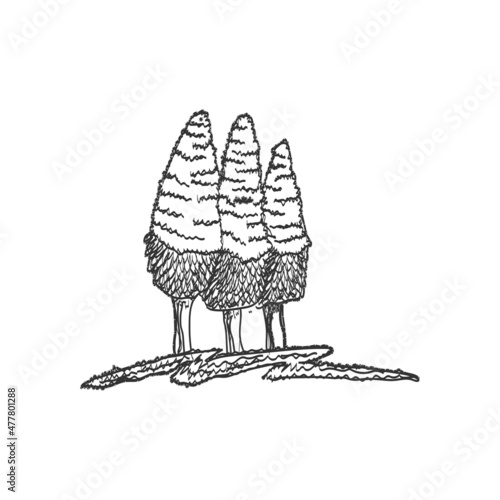 cedar pine plant wood forest Icon Illustration Brand Identity
