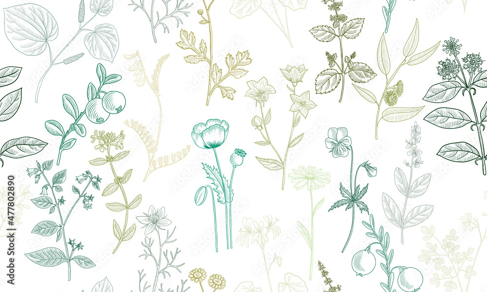 vector drawing floral seamless pattern, natural background with medicinal plants, hand drawn illustration