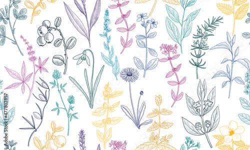 vector drawing floral seamless pattern, natural background with medicinal plants, hand drawn illustration