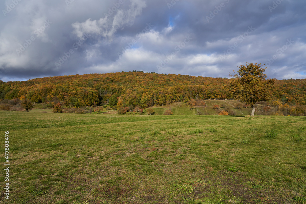 Fototapeta premium Landschaft am Haßbertrauf beim Fachwerkdorf Nassach im Naturpark Haßberge, Gemeinde Aidhausen, Landkreis Haßberge, Unterfranken, Franken, Deutschland