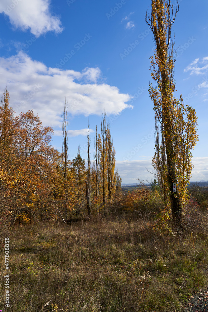 Landschaft am Haßbertrauf beim Fachwerkdorf Nassach im Naturpark Haßberge, Gemeinde Aidhausen, Landkreis Haßberge, Unterfranken, Franken, Deutschland Landschaft am Haßbertrauf beim Fachwerkdorf Nassach im Naturpark Haßberge, Gemeinde Aidhausen, Landkreis Haßberge, Unterfranken, Franken, Deutschland