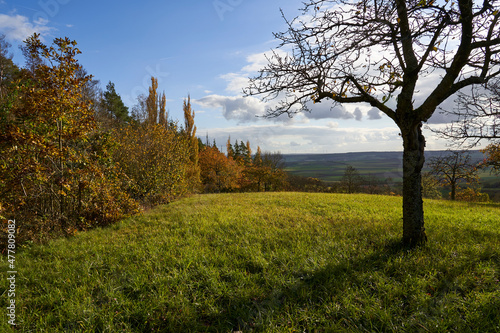 Landschaft am Haßbertrauf beim Fachwerkdorf Nassach im Naturpark Haßberge, Gemeinde Aidhausen, Landkreis Haßberge, Unterfranken, Franken, Deutschland