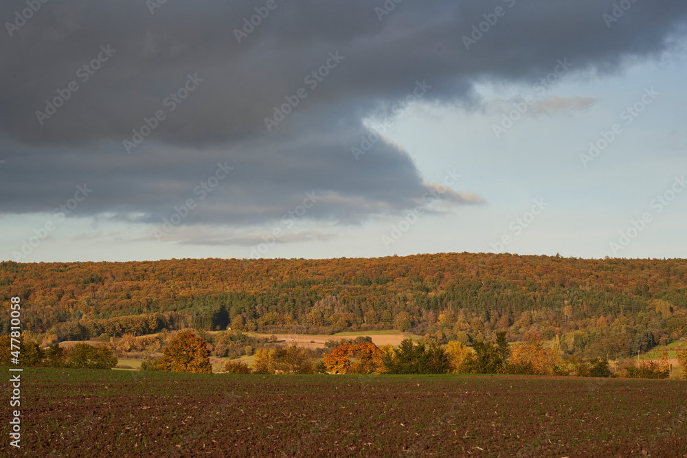 Fototapeta premium Landschaft am Haßbertrauf beim Fachwerkdorf Nassach im Naturpark Haßberge, Gemeinde Aidhausen, Landkreis Haßberge, Unterfranken, Franken, Deutschland