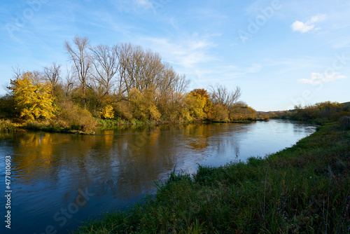 Wallpaper Mural Der Main bei Köhler an der Volkacher Mainschleife, Stadt Volkach, Landkreis Kitzingen, Unterfanken, Bayern, Deutschland Torontodigital.ca