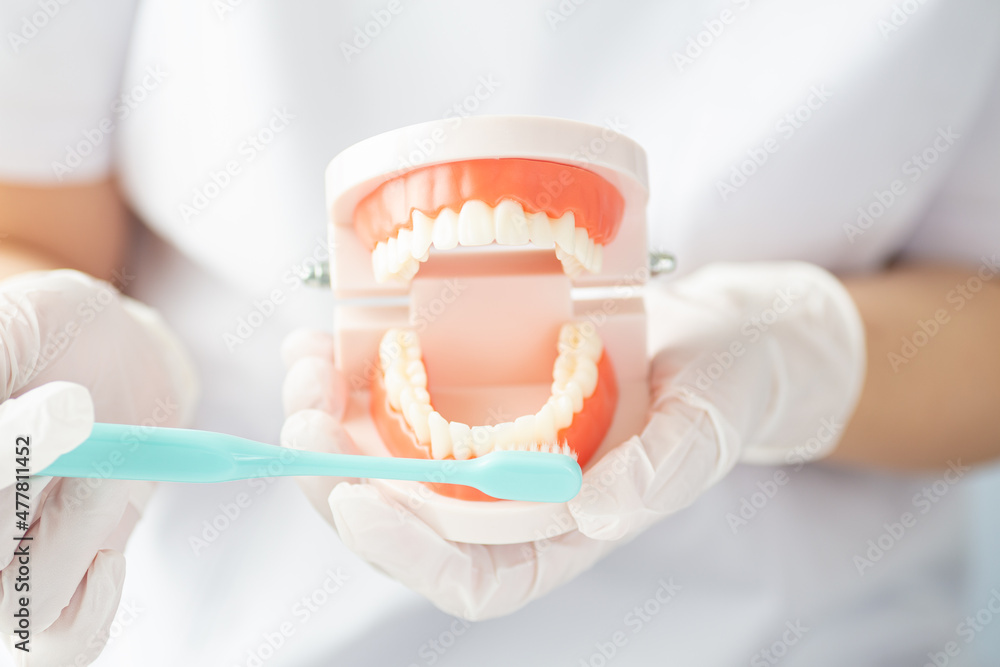 歯科衛生士さんブラッシング指導イメージ01 - obrazy, fototapety, plakaty 