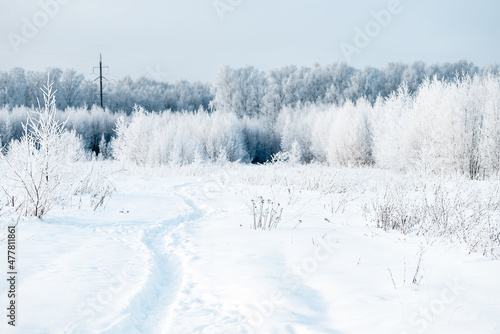 Winter white landscape with thin path in snowdrift and forest in hoar frost on horizon © Gioia