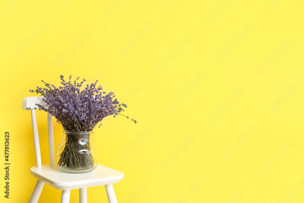 Vase with beautiful lavender flowers on chair against color background