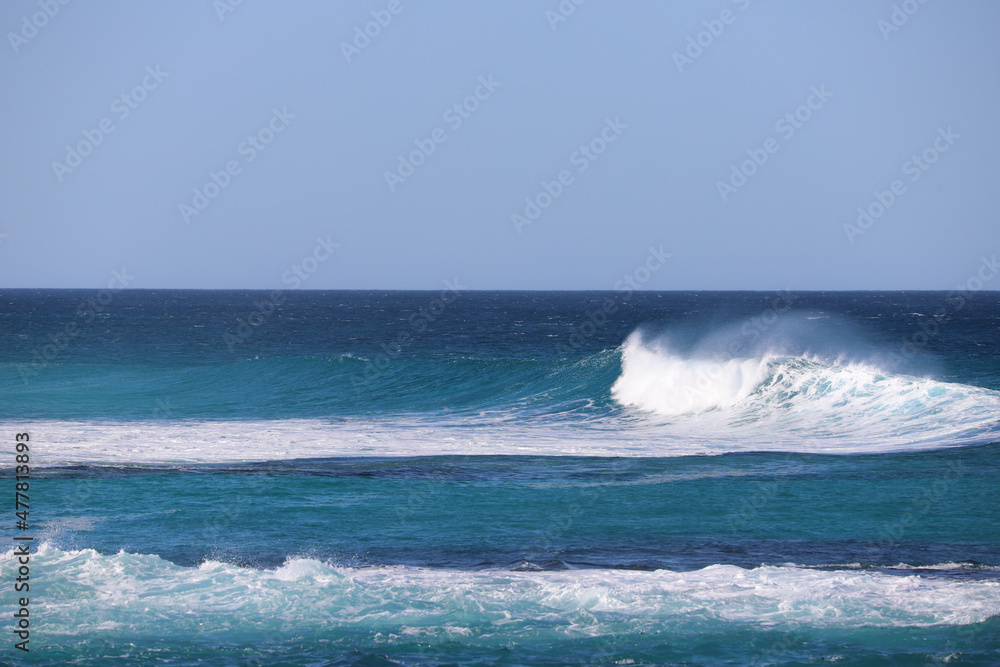 surfing the wave surfing the wave