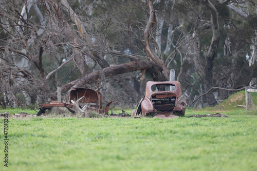 Wallpaper Mural car in the forest Torontodigital.ca