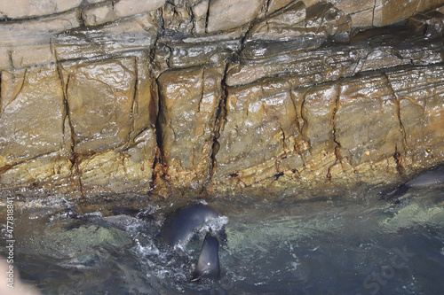 Wallpaper Mural river in the woods Torontodigital.ca