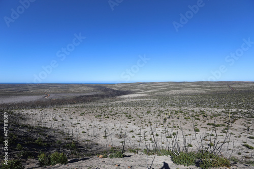 Wallpaper Mural plowed field in winter Torontodigital.ca