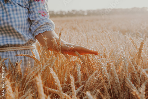 Amazing view with woman his back to viewer in a field of wheat touched by hand of spikes in the sunset light. Golden wheat fields. Wheat ears in hands. Harvest concept. Image of spikelets in hands.