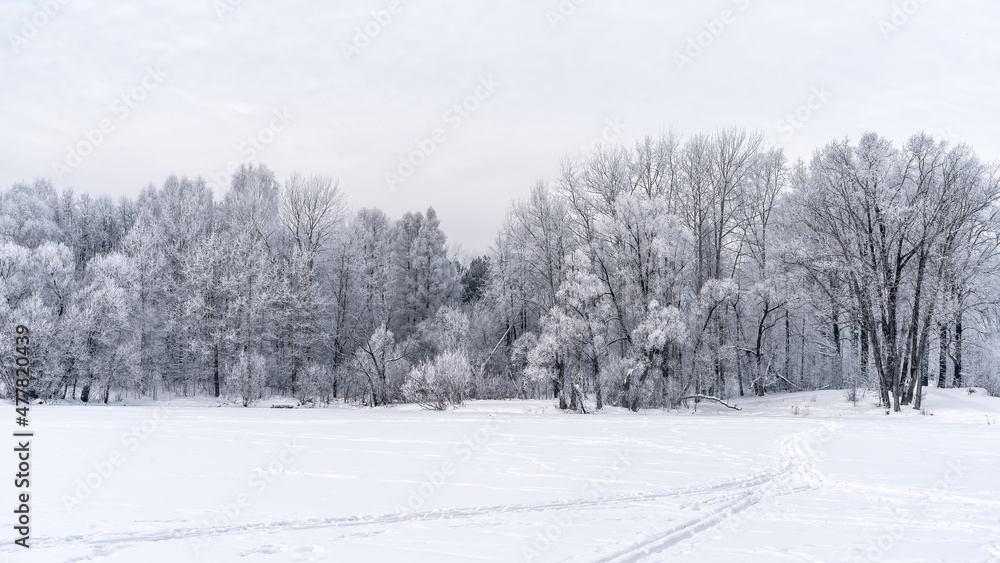 Winter snowy landscape with trees covered with frost and snow