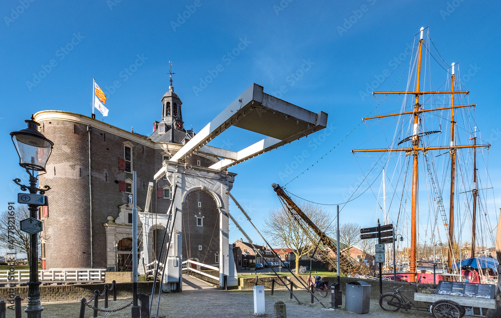 Obraz premium Dromedaris in Enkhuizen, Noord-Holland province, The netherlands