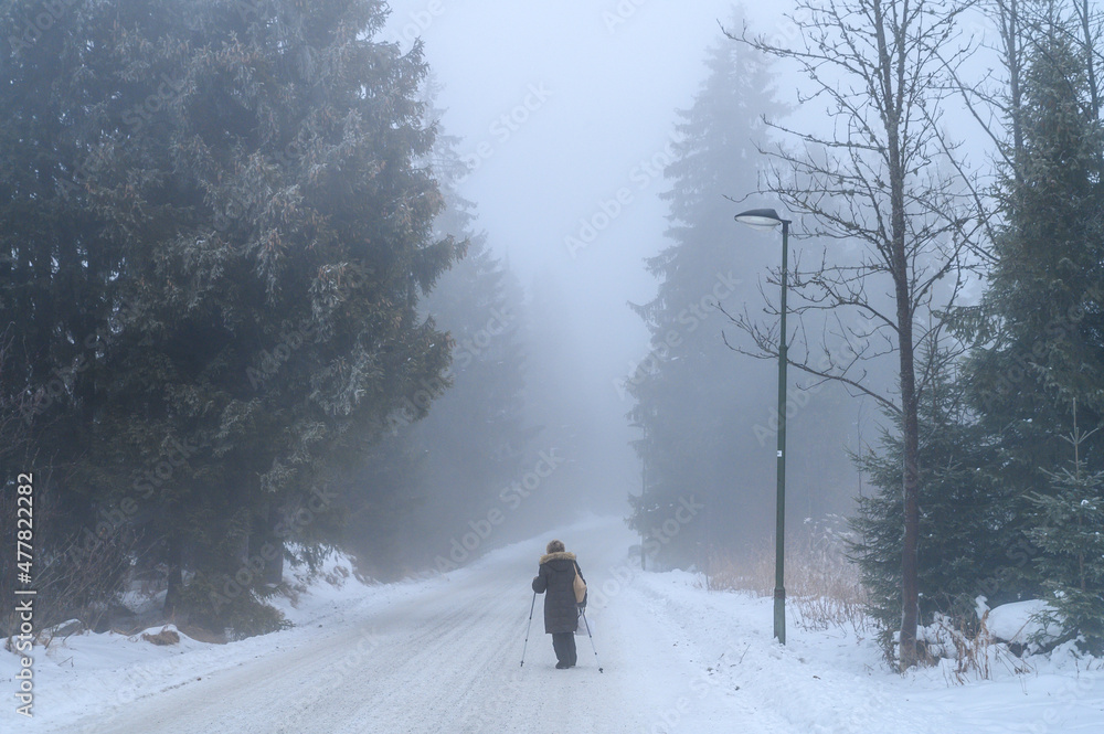 Dark rough winter rural landscape in russia. Old lady walks on the snowy road in winter blizzard 