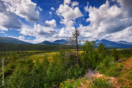 View of a typical Norwegian landscape in the north of the country, Jotunheimen national park in central Norway