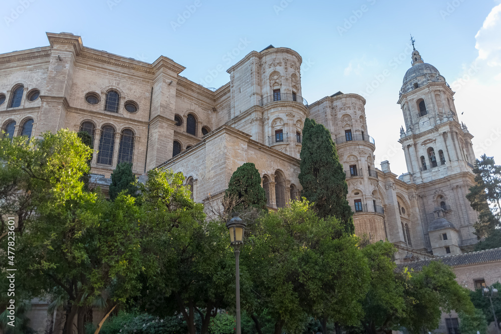 View at the lateral facade at the Malaga Cathedral or Santa Iglesia Catedral Basílica de la Encarnación, an iconic national landmark ,16th-century baroque facade, palm trees