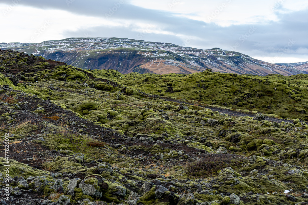 Fototapeta premium landscape in the mountains Iceland