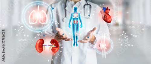 Doctor holding hologram of a human body with human organs in concept of health. Medical future technology and innovative concept.