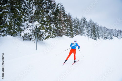 Nordic ski in white nature