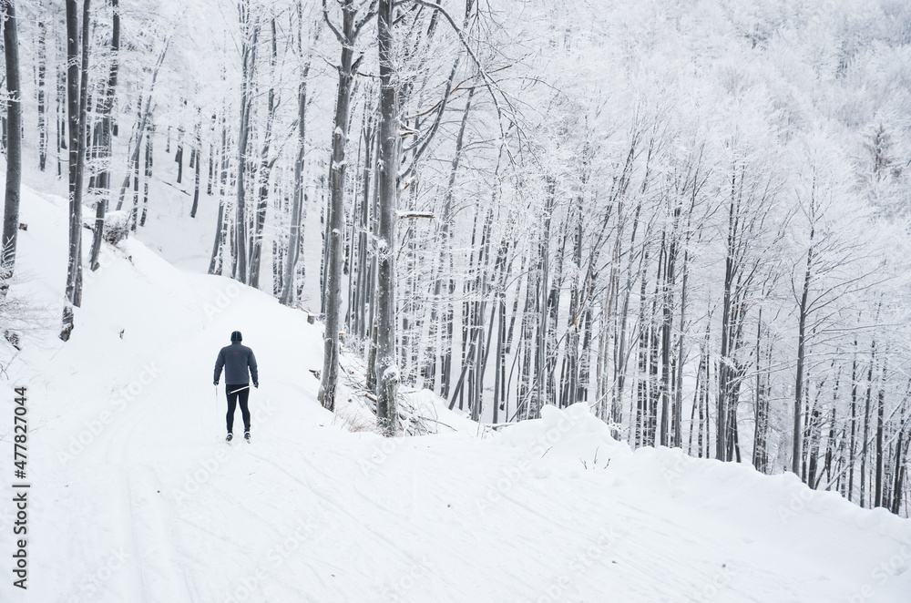 Nordic ski in white winter nature