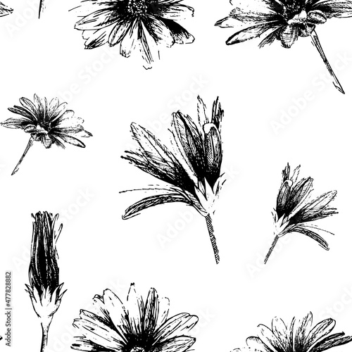 Flowers seamless pattern drawn in graphic.Hand drawn black and white illustration on white background