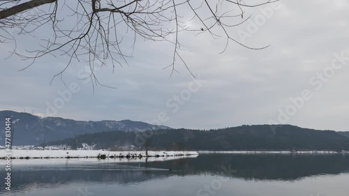 Lake Yogo, Nagahama City, Shiga Prefecture, Japan, in the middle of winter, with mountains and water covered with snow, and withered vegetation. photo