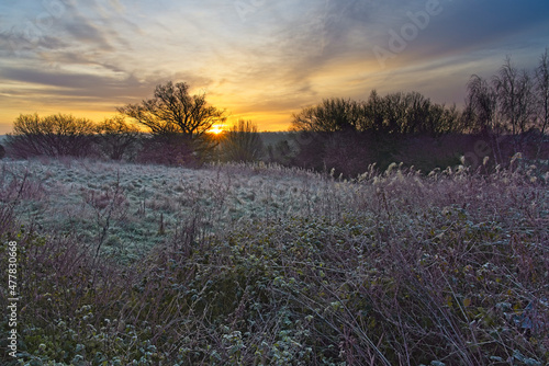 Low winter sun creeps over a frosty landscape.