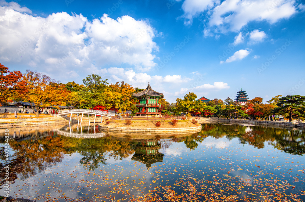 autumn in the park at Gyeongbukgung palace, Seoul South Korea.