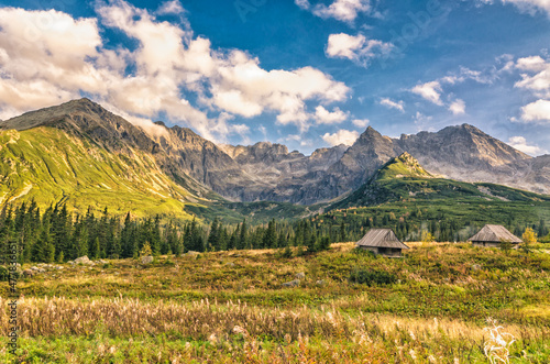 Tatry Czarny Staw G  sienicowy