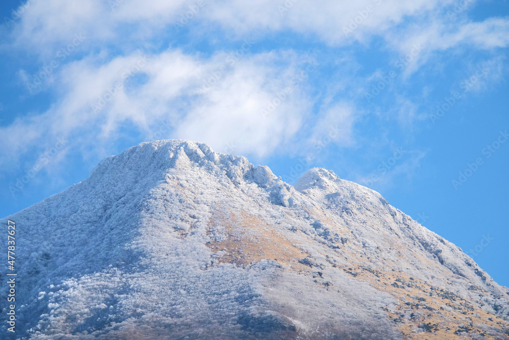 冠雪の山頂～由布岳