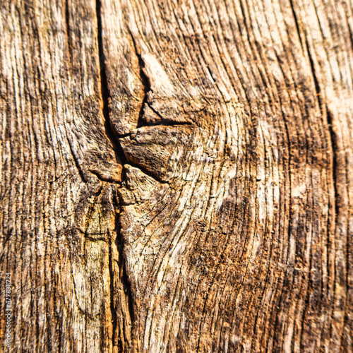 close up of plank board of timber wood