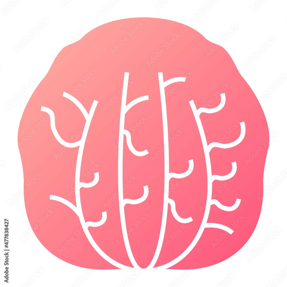 Vector Radicchio Glyph Gradient Icon Design Vector Radicchio Glyph Gradient Icon Design