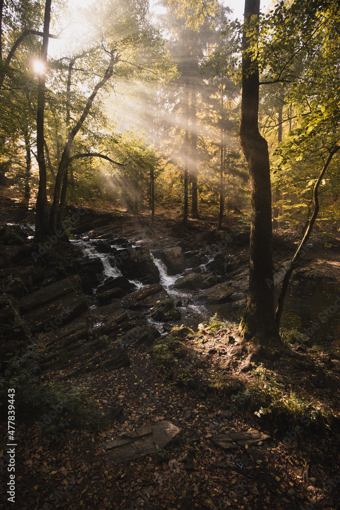 Selkefall Wasserfall im Harz Gebirge Deutschland mit Wasser und Herbst Nebel Sonnenstrahlen