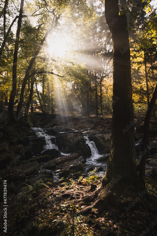 Fototapeta premium Selkefall Wasserfall im Harz Gebirge Deutschland mit Wasser und Herbst Nebel Sonnenstrahlen
