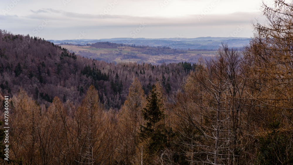 Pogórze karkonoskie - okolice Jagniątkowa