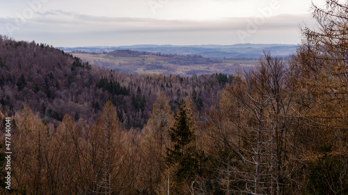 Pogórze karkonoskie - okolice Jagniątkowa