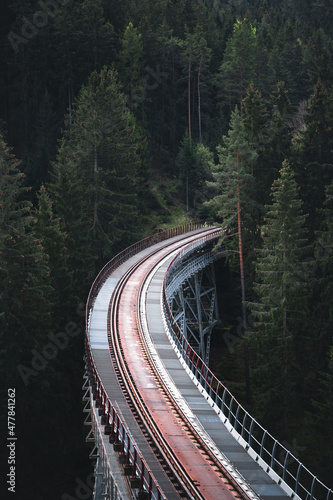 alte rostige Eisenbahnbrücke aus Stahl Gestell in einem grünen Wald