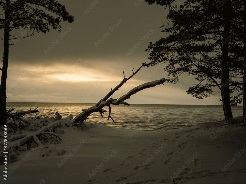 sunset on the beach