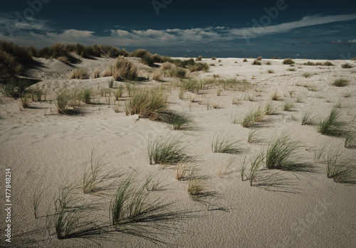 sand dunes at the beach