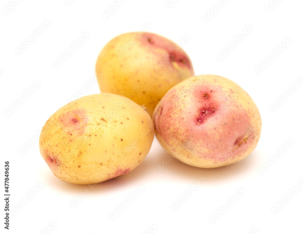 Small new potatoes with pink coloration isolated on white background
Small new potatoes with pink coloration isolated on white background