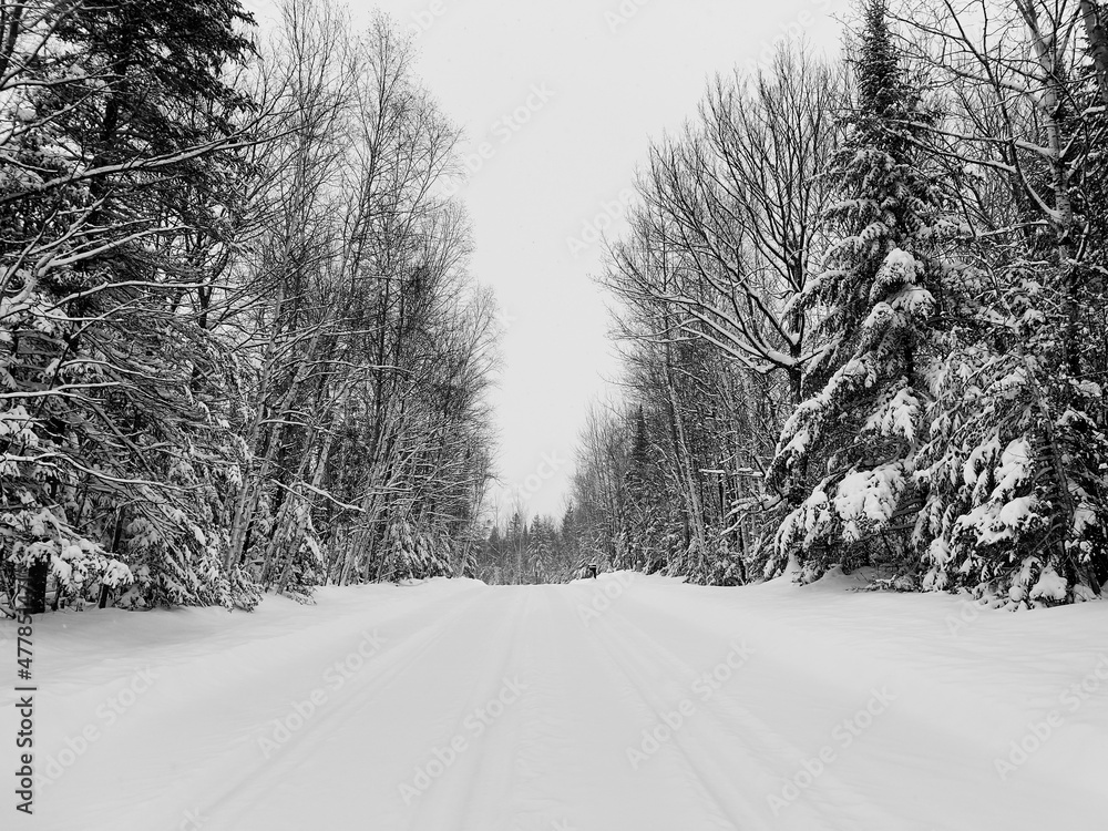 Obraz premium road in winter