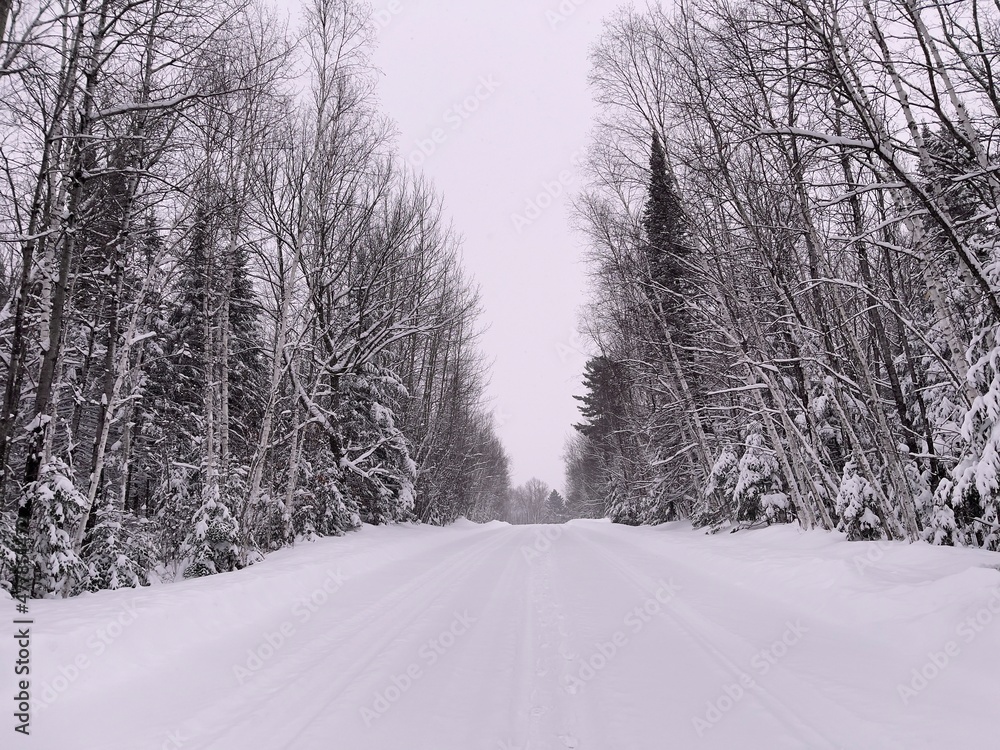Obraz premium snow covered road