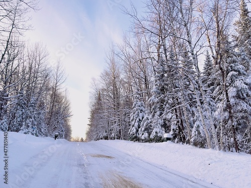 snow covered road © Tammi Mild